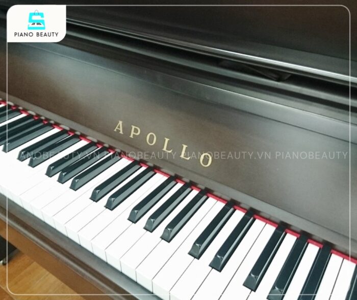 Đàn Piano Apollo RU200 bao gồm 88 phím, được chế tạo từ vật liệu cao cấp Phenolic Resin