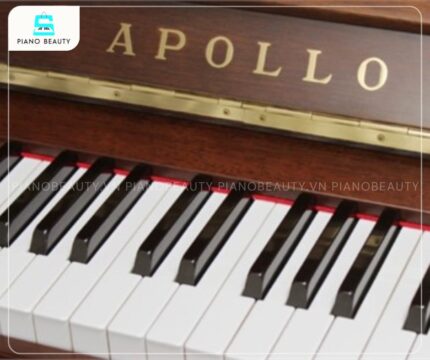 Đàn Piano Apollo RU33 bao gồm 88 phím tiêu chuẩn, được chế tạo từ chất liệu Phenolic Resin