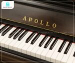 Đàn Piano Apollo RU388W bao gồm 88 phím, được chế tạo từ chất liệu Phenolic Resin cao cấp