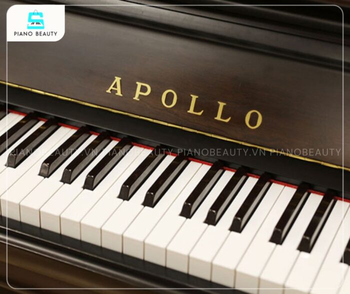 Đàn Piano Apollo RU388W bao gồm 88 phím, được chế tạo từ chất liệu Phenolic Resin cao cấp
