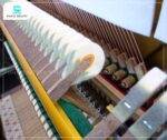 Đàn Piano Apollo RU388W có búa đàn Renner cao cấp