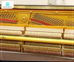 Đàn Piano Apollo RU388W có âm thanh chất lượng cao, phong phú và biểu cảm