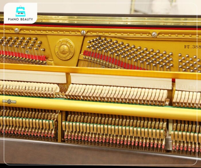 Đàn Piano Apollo RU388W có âm thanh chất lượng cao, phong phú và biểu cảm