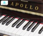 Đàn Piano Apollo RU80 có chất liệu phím làm từ gỗ tự nhiên bền đẹp
