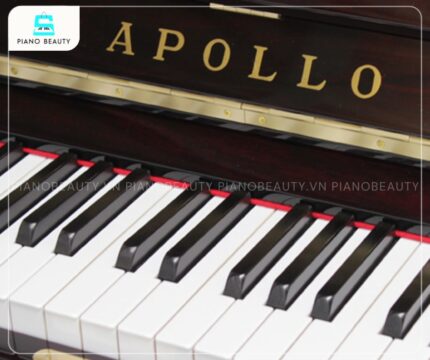 Đàn Piano Apollo RU80 có chất liệu phím làm từ gỗ tự nhiên bền đẹp