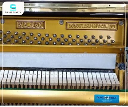 Đàn Piano Apollo SR250 có chất âm trong trẻo, cân bằng