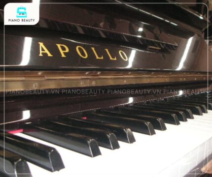 Đàn Piano Apollo SR530 được trang bị hệ thống 88 phím tiêu chuẩn