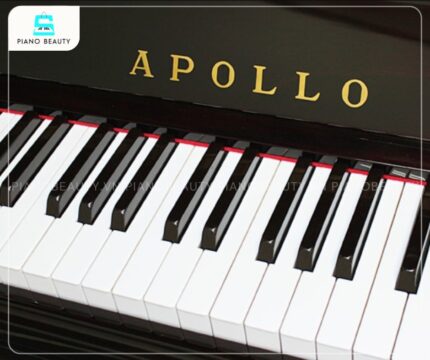 Đàn Piano Apollo SR565 có bàn phím phản ứng chính xác và tức thì với từng lực chạm của ngón tay