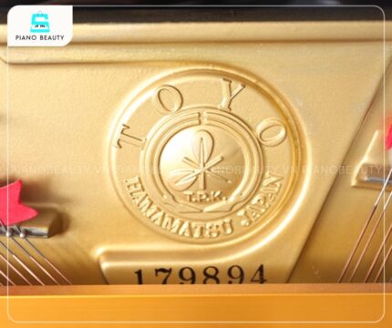 Đàn Piano Apollo SR65B nổi bật với hệ thống cơ chế bàn phím SSS độc quyền
