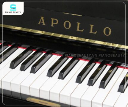 Đàn Piano Apollo SR85B tích hợp hệ thống cơ chế bàn phím SSS