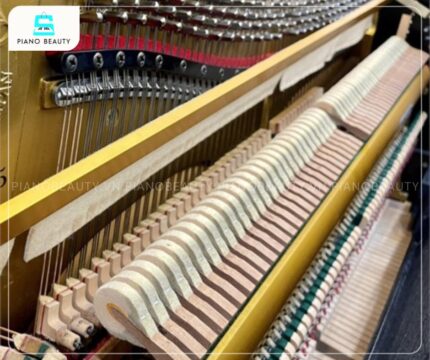 Đàn Piano Apollo SR85W trang bị hệ thống búa Renner Felt