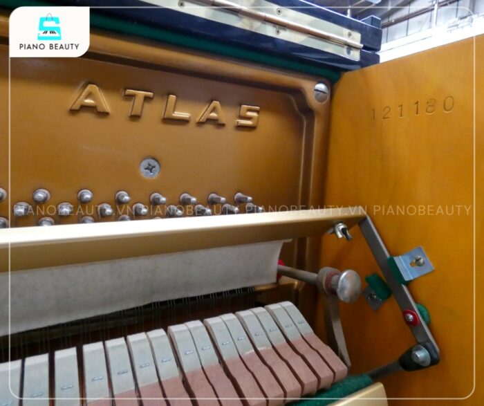 Đàn Piano Atlas A22H có các búa đàn đảm bảo tạo ra âm thanh trong trẻo