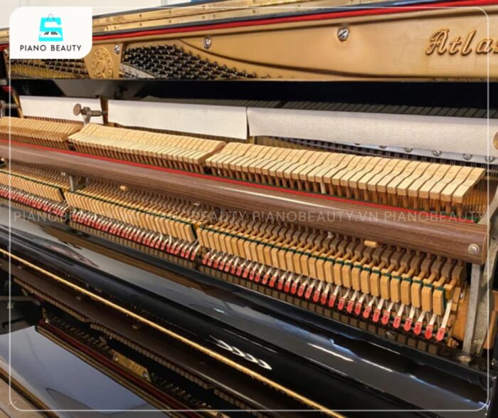 Đàn Piano Atlas A22H với hệ thống búa đàn được chế tác hoàn toàn từ 100% lông cừu chất lượng hàng đầu