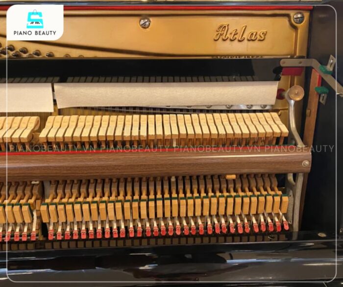Đàn Piano Atlas A22H tích hợp bộ cơ cải tiến từ dòng Millennium danh tiếng