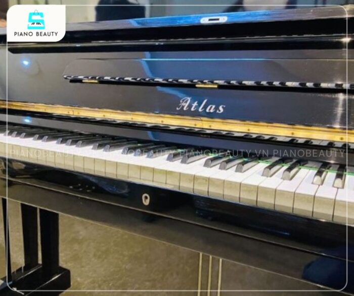 Đàn Piano Atlas A3 được trang bị 88 phím tiêu chuẩn, chế tác từ vật liệu cao cấp như nhựa Acrylic/Phenolic Resin