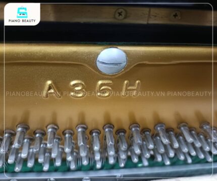 Đàn Piano Atlas A35H có độ vang xuất sắc