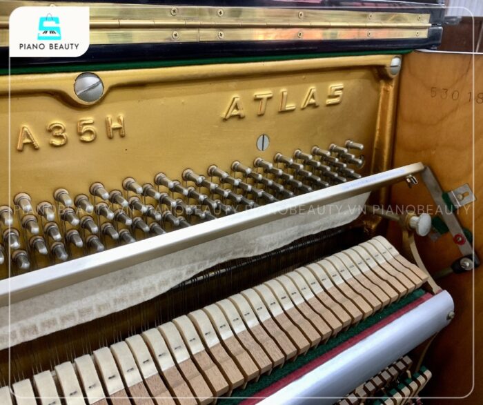 Đàn Piano Atlas A35H có âm sắc trong trẻo, bay bổng cùng độ vang xa