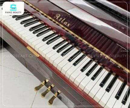 Đàn Piano Atlas A5 trang bị 88 phím đàn tiêu chuẩn được làm từ vật liệu cao cấp