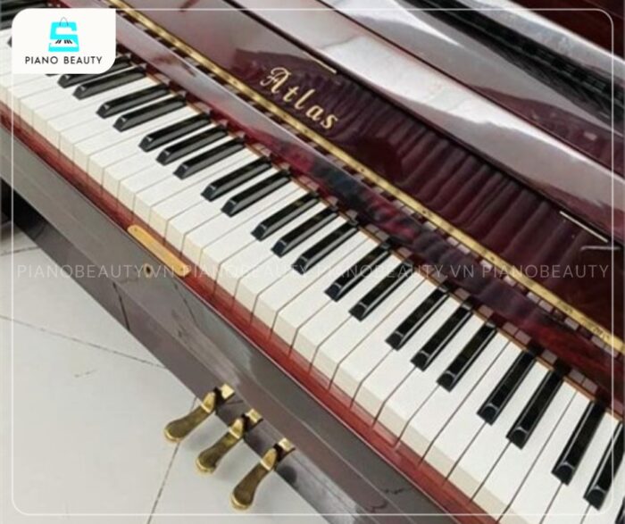 Đàn Piano Atlas A5 trang bị 88 phím đàn tiêu chuẩn được làm từ vật liệu cao cấp