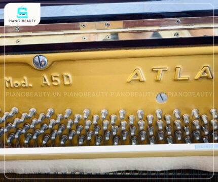Đàn Piano Atlas A5D cung cấp trải nghiệm âm thanh êm ái và đầy đặn