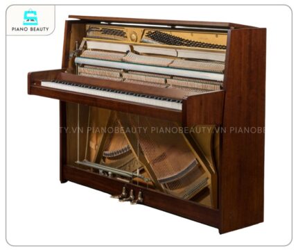 Chất lượng âm thanh của Đàn Piano Atlas M1 được nhận định là đầy đặn, ấm áp