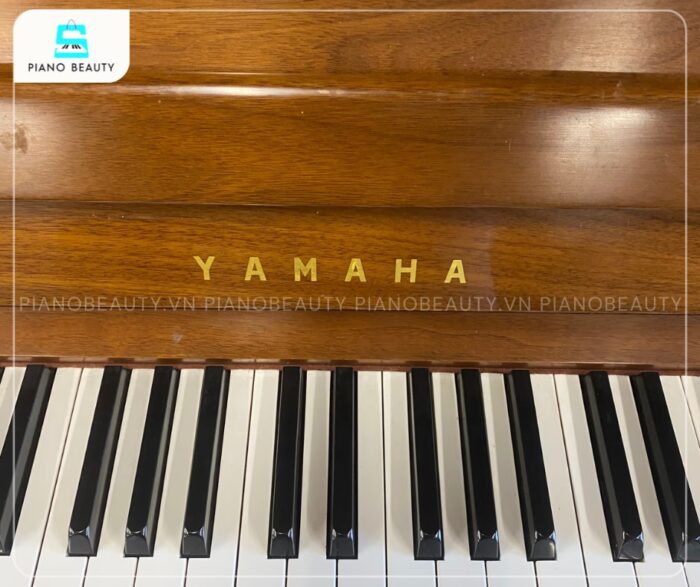 Đàn Piano Atlas M1 tích hợp 88 phím đàn được chế tác từ gỗ mun ép