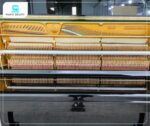 Đàn Piano Atlas M2 có búa đàn được bọc nỉ cap cấp giúp nâng cao độ cứng chắc