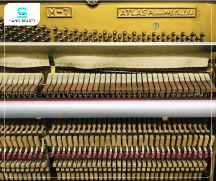 Đàn Piano Atlas M7 có chất âm dày và ấm áp