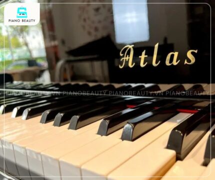 Bàn phím của Đàn Piano Atlas NA150 mang lại cảm giác phím vững chãi cùng độ nhạy cao