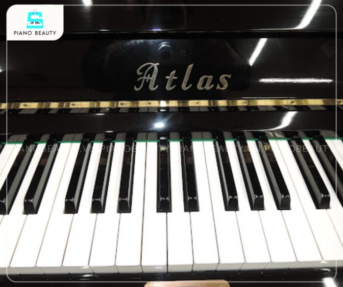 Hệ thống bàn phím của Atlas NA202 được thiết kế để mang lại cảm giác phím vững chắc và khả năng phản hồi vượt trội