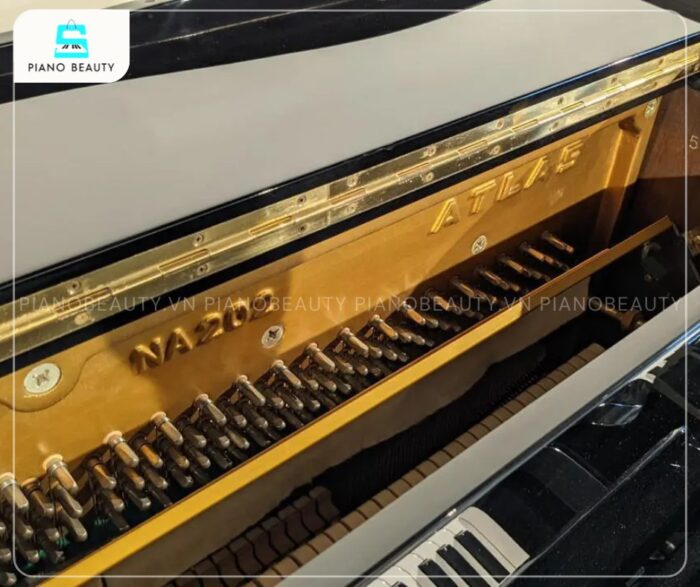 Đàn Piano Atlas NA202 gây ấn tương với âm thanh mượt mà