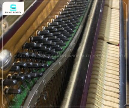 Đàn Piano Atlas NA300 nổi bật với chất âm trong trẻo, ấm áp