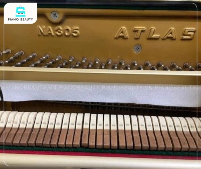 Chất âm từ Atlas NA305 nhận được sự đánh giá cao nhờ sự ấm áp, độ ngân vang sâu rộng và tính hài hòa vượt trội