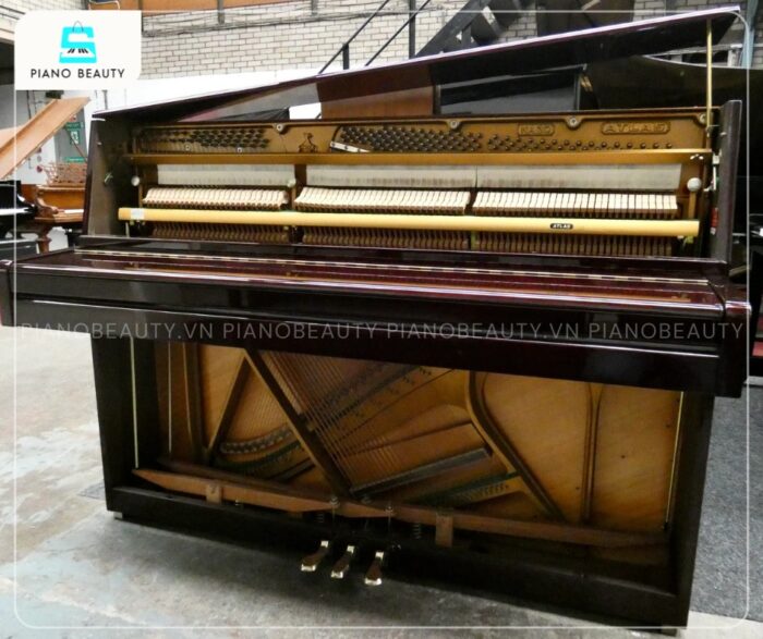 Âm thanh đàn Piano Atlas NA3D được tạo ra từ bảng cộng hưởng (soundboard) làm từ gỗ vân sam nguyên khối