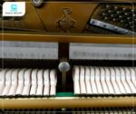 Đàn Piano Atlas NA3D có búa đàn được làm từ lông cừu tự nhiên, mang lại âm thanh ấm áp, tròn trịa và độ bền cao