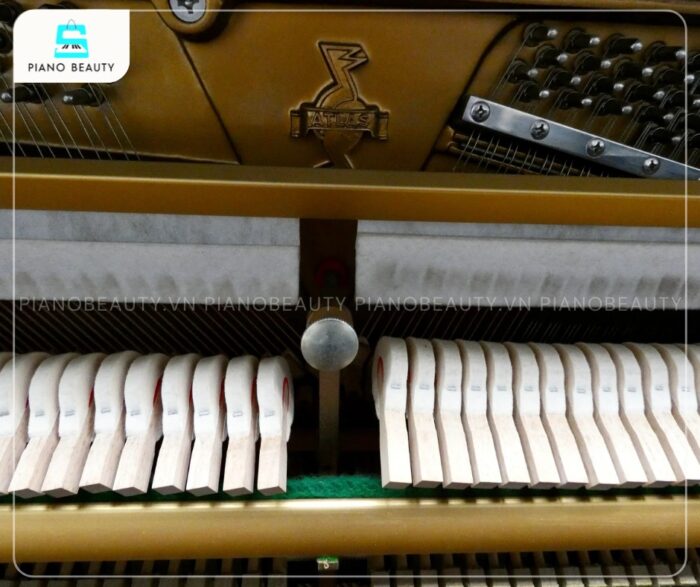 Đàn Piano Atlas NA3D có búa đàn được làm từ lông cừu tự nhiên, mang lại âm thanh ấm áp, tròn trịa và độ bền cao