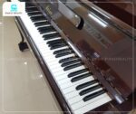 Bàn phím của đàn Piano Atlas NA7A thường được chế tác từ loại gỗ cao cấp