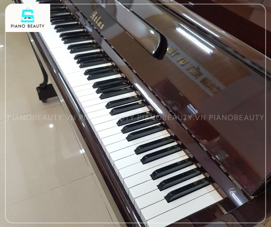 Bàn phím của đàn Piano Atlas NA7A thường được chế tác từ loại gỗ cao cấp