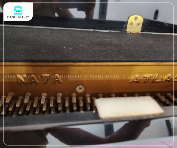 Chất lượng âm thanh của Đàn Piano Atlas NA7A luôn được ca ngợi là trong trẻo, rõ ràng và có độ vang lớn