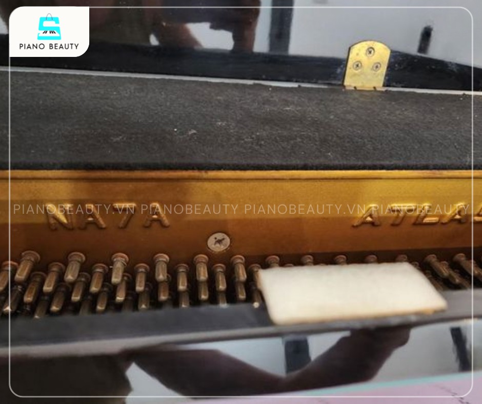 Chất lượng âm thanh của Đàn Piano Atlas NA7A luôn được ca ngợi là trong trẻo, rõ ràng và có độ vang lớn