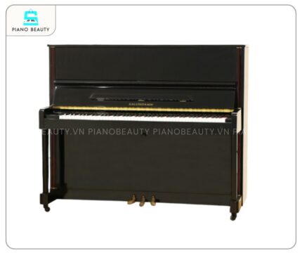 Đàn Piano Ballindamm BU20: Âm thanh chân thực, trải nghiệm cao cấp