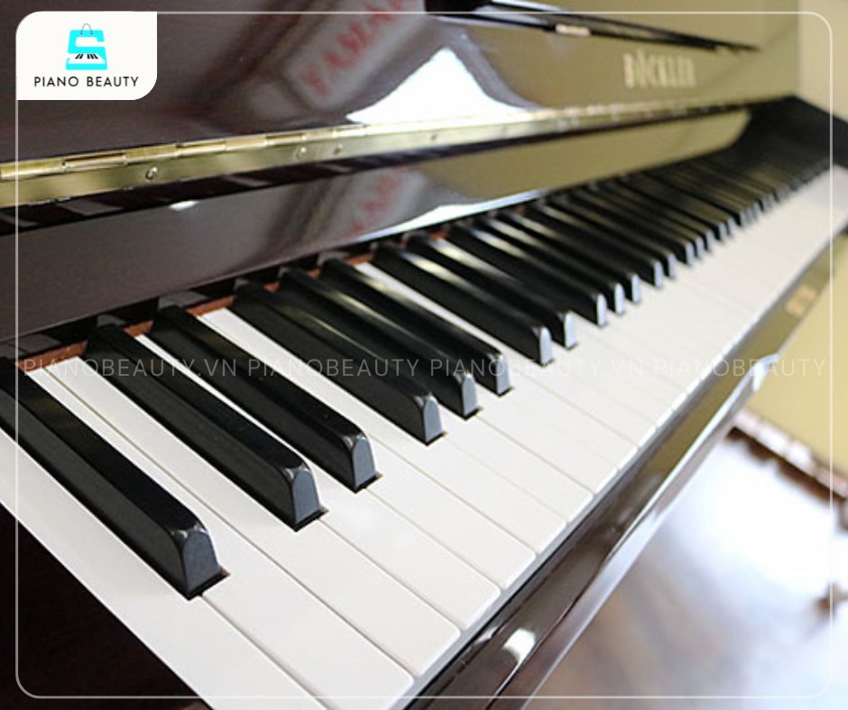 Đàn Piano Bockler AH28 nổi bật với 88 phím được chế tác từ chất liệu Phenolic Resin