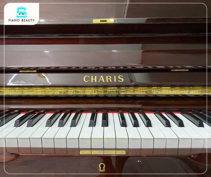 Đàn Piano Cơ Charis AH10 được trang bị hệ thống bàn phím chất lượng cao, mang lại cảm giác phím nhạy bén và độ mượt mà tối ưu khi chơi