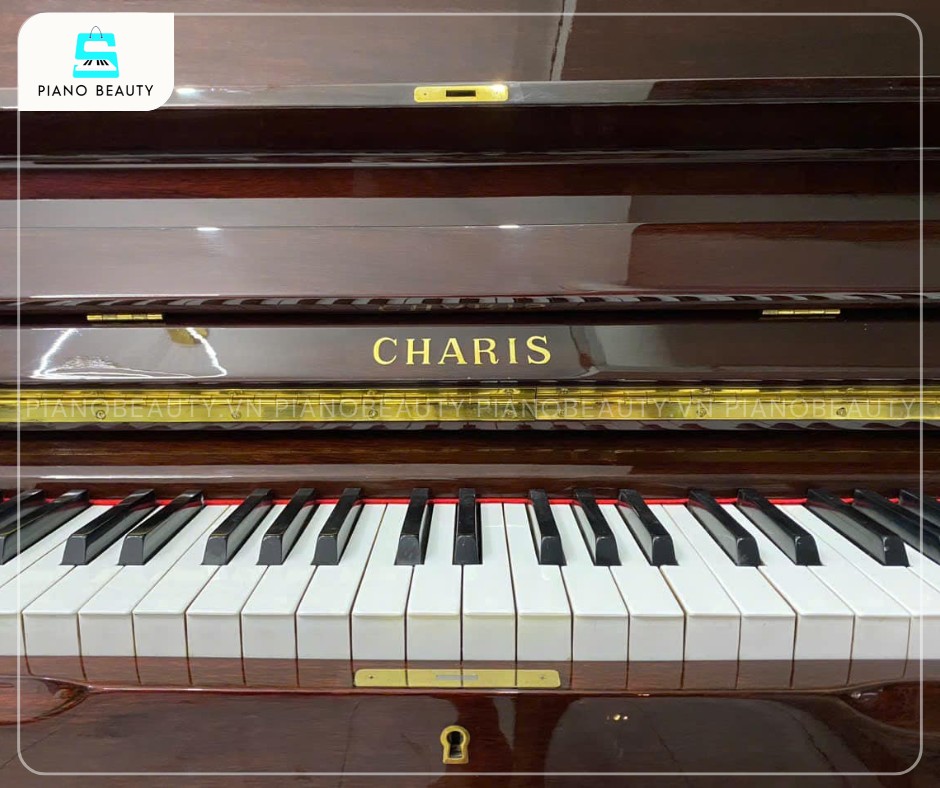 Đàn Piano Cơ Charis AH10 được trang bị hệ thống bàn phím chất lượng cao, mang lại cảm giác phím nhạy bén và độ mượt mà tối ưu khi chơi