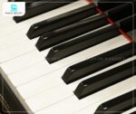 Đàn piano cơ Emperor bàn phím 88 phím gỗ tự nhiên phản hồi tốt