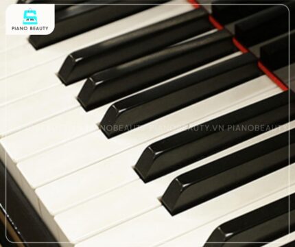 Đàn piano cơ Emperor bàn phím 88 phím gỗ tự nhiên phản hồi tốt