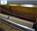Đàn Piano Cristofori CR121 mang lại tiếng đàn trong trẻo, rõ ràng và có độ vang ấn tượng