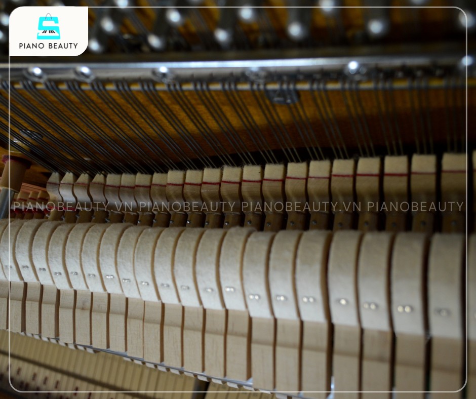 Đàn Piano Cristofori CR121 với hệ thống búa đàn từ nỉ lông cừu