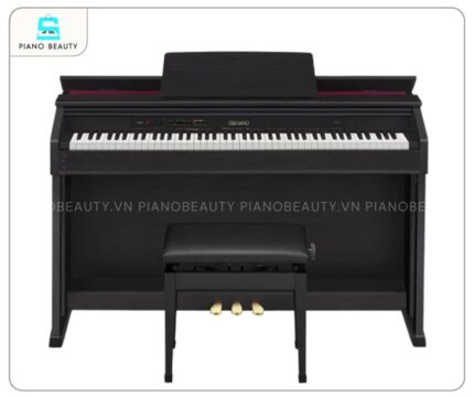 Casio AP460 được thiết kế theo phong cách hiện đại
