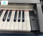 Đàn Piano Điện Casio PX770BN